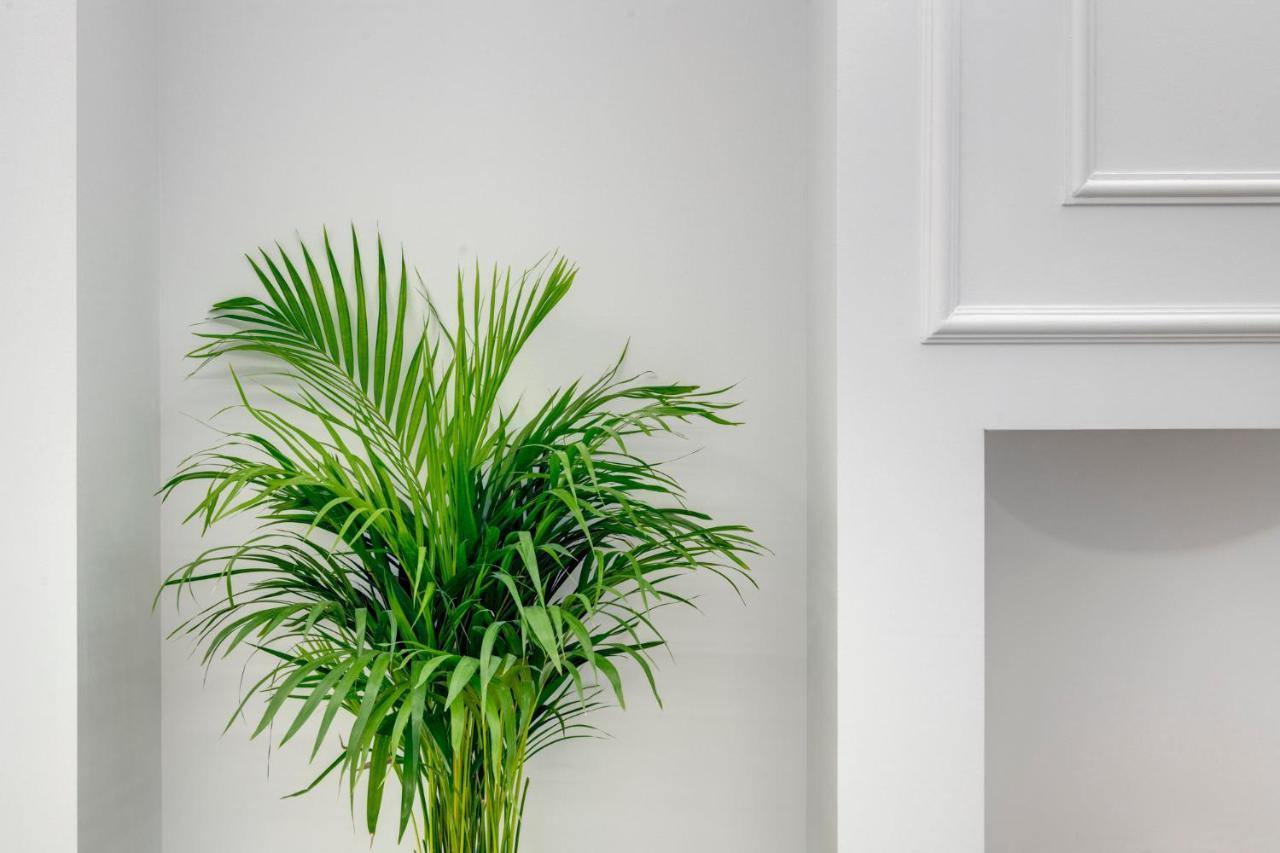 Amare Boutique Suites Ερμούπολη Εξωτερικό φωτογραφία